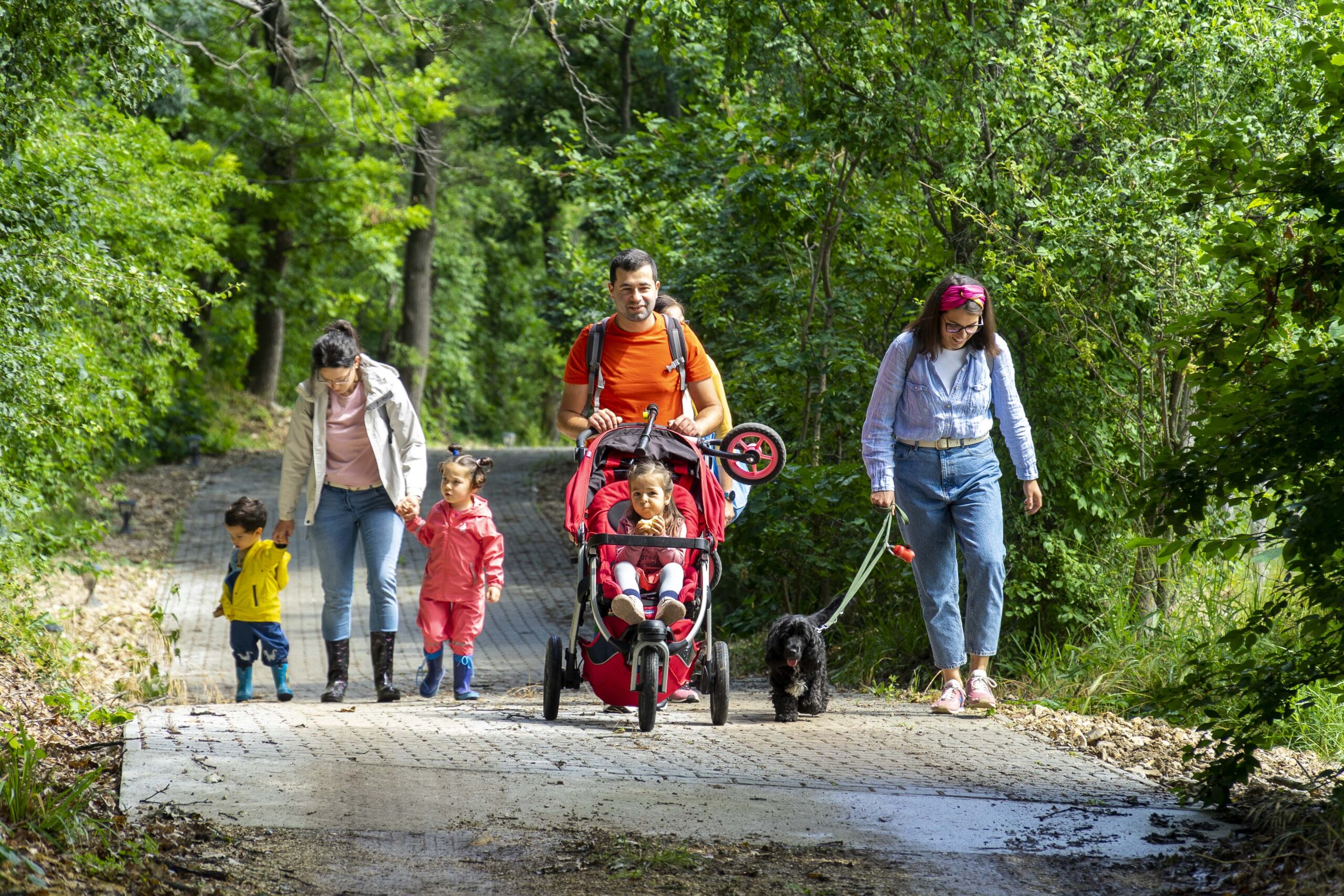 Alfáktól Omegáig – Gyermeknevelésről közérthetően